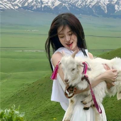 没牙的老虎