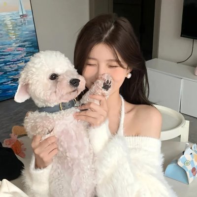 机器之心